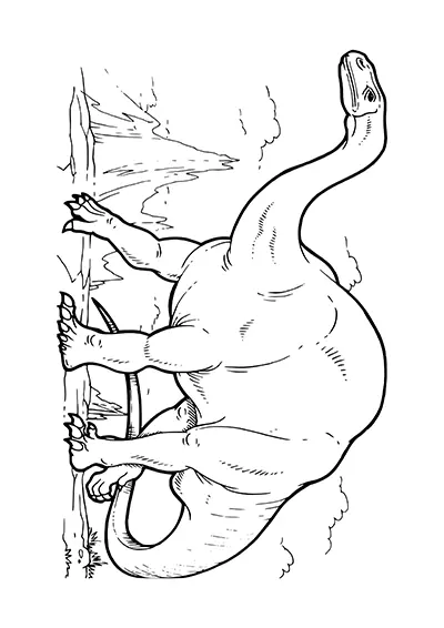 Image dinosaure contour pour décalquage 17