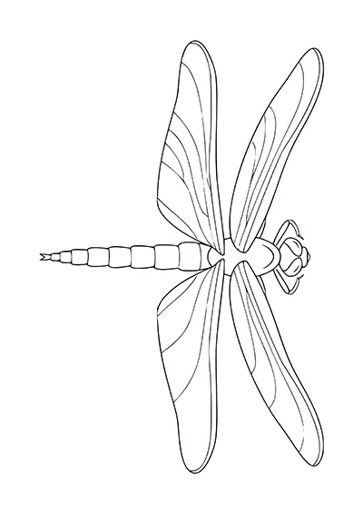 Libellule réaliste modèle de pochoir à imprimer 07