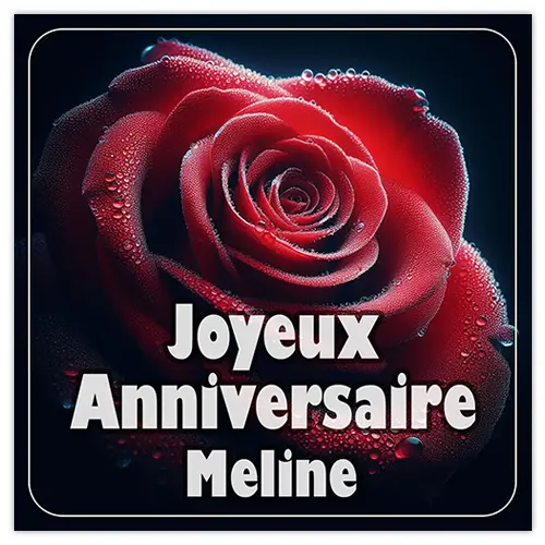 Joyeux Anniversaire Meline