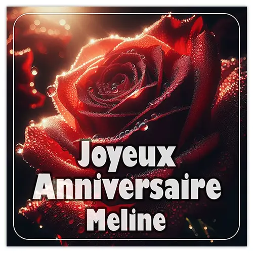 Joyeux Anniversaire Meline
