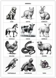 Flashcards-avec-des-animaux-en-italien